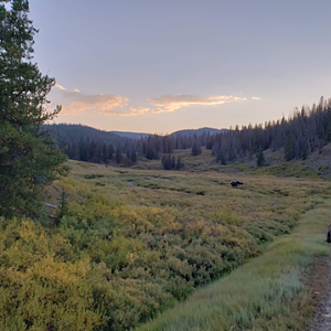 Wyoming Archery Elk Hunt 2018