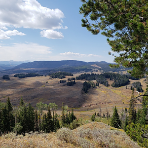 Wyoming Archery Elk Hunt 2018