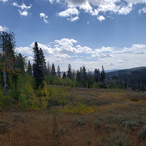 Wyoming Archery Elk Hunt 2018