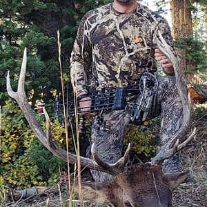 Bow Hunt Elk in Wyoming USA