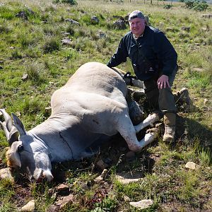 Eland Hunting South Africa