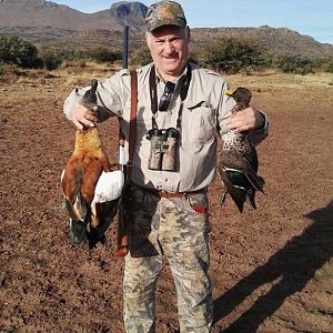 Egyptian Geese & Duck Hunting South Africa