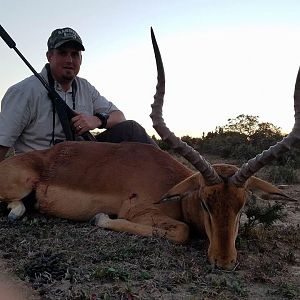 Impala Hunt South Africa