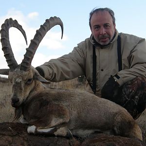 South Africa Hunting Ibex
