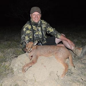 Hunting Caracal in South Africa