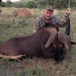 Black Wildebeest Hunting South Africa