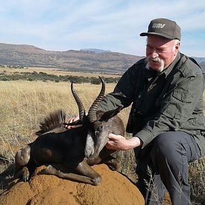 South Africa Hunting Black Springbok