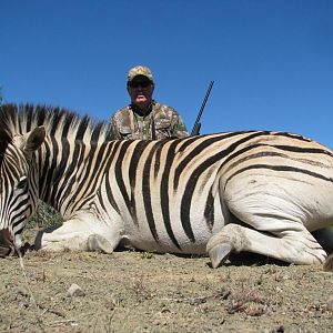 Burchell's Plain Zebra Hunting South Africa