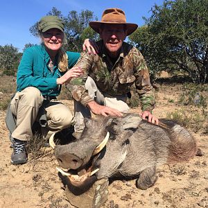 Warthog Hunt South Africa