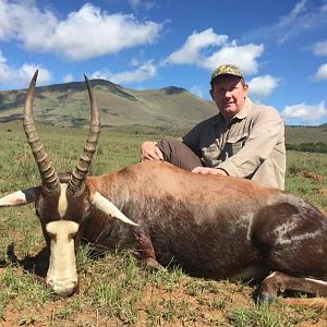 Hunting Blesbok in South Africa