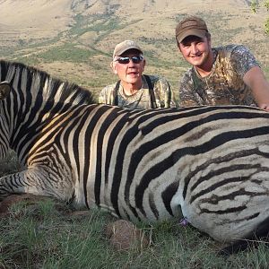 Hunt Burchell's Plain Zebra in South Africa