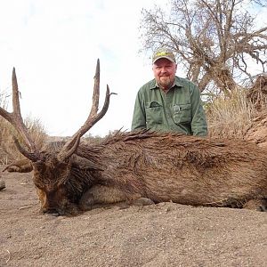 Sambar Deer Hunting South Africa
