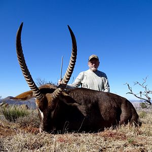 South Africa Hunting Waterbuck