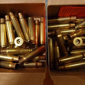 .350 Remington Magnum Cases
