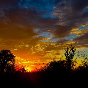 Beautiful sunset in Zimbabwe
