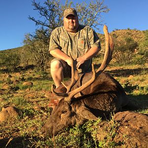 Hunt Fallow Deer in South Africa