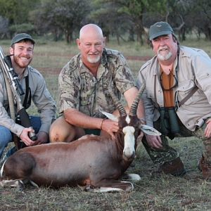 South Africa Hunt Blesbok