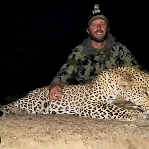 Hunt Leopard in Zimbabwe
