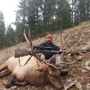 Elk Hunt