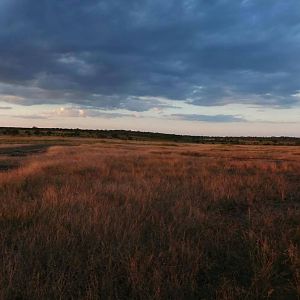 Zimbabwe Hunting Area