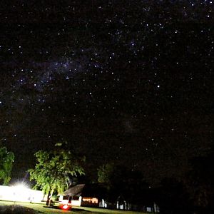 View of the stars from the Lodge