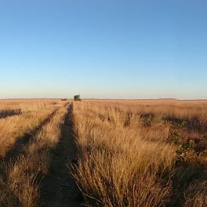 Zimbabwe Landscape