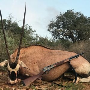 Gemsbok Hunting South Africa