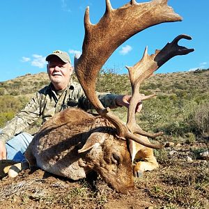 Fallow Deer Hunting South Africa