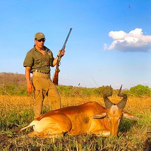 Hunt Lichtenstein's Hartebeest