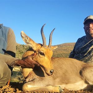 South Africa Hunt Mountain Reedbuck