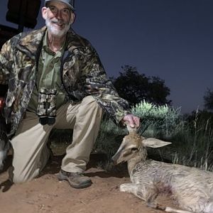 Hunt Duiker in South Africa