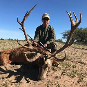 Red Stag Hunting Argentina