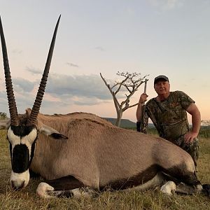 Gemsbok Hunt South Africa