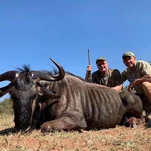 South Africa Hunt Blue Wildebeest