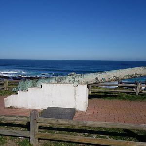 Visiting the Wreck of the Sacramento