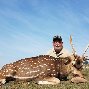 South Africa Hunt Axis Deer