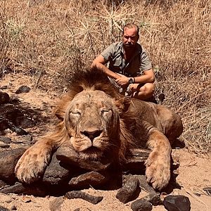 Hunting Lion in Zambia