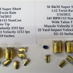 CEB Raptor Bullet Performance