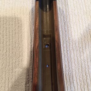 Rifle Stock