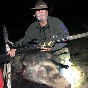 Hunting Bushpig in South Africa