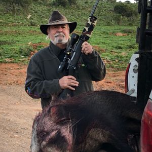 Bushpig Hunt South Africa