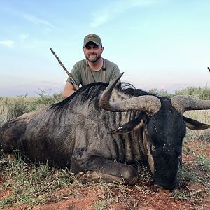 Hunting Blue Wildebeest in South Africa