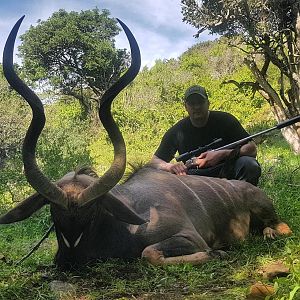 Kudu Hunt South Africa