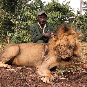Hunting Lion in Zimbabwe