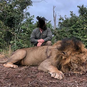 Lion Hunting Zimbabwe