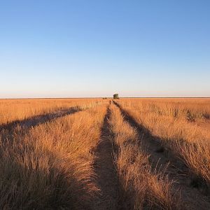 Hunting Area Zimbabwe