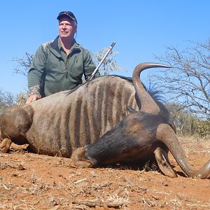 South Africa Hunt Blue Wildebeest