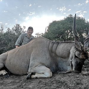 Hunting Eland in South Africa