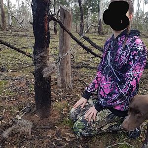Hunting Red Stag in Australia