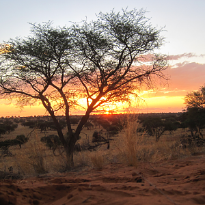 Sunset Namibia